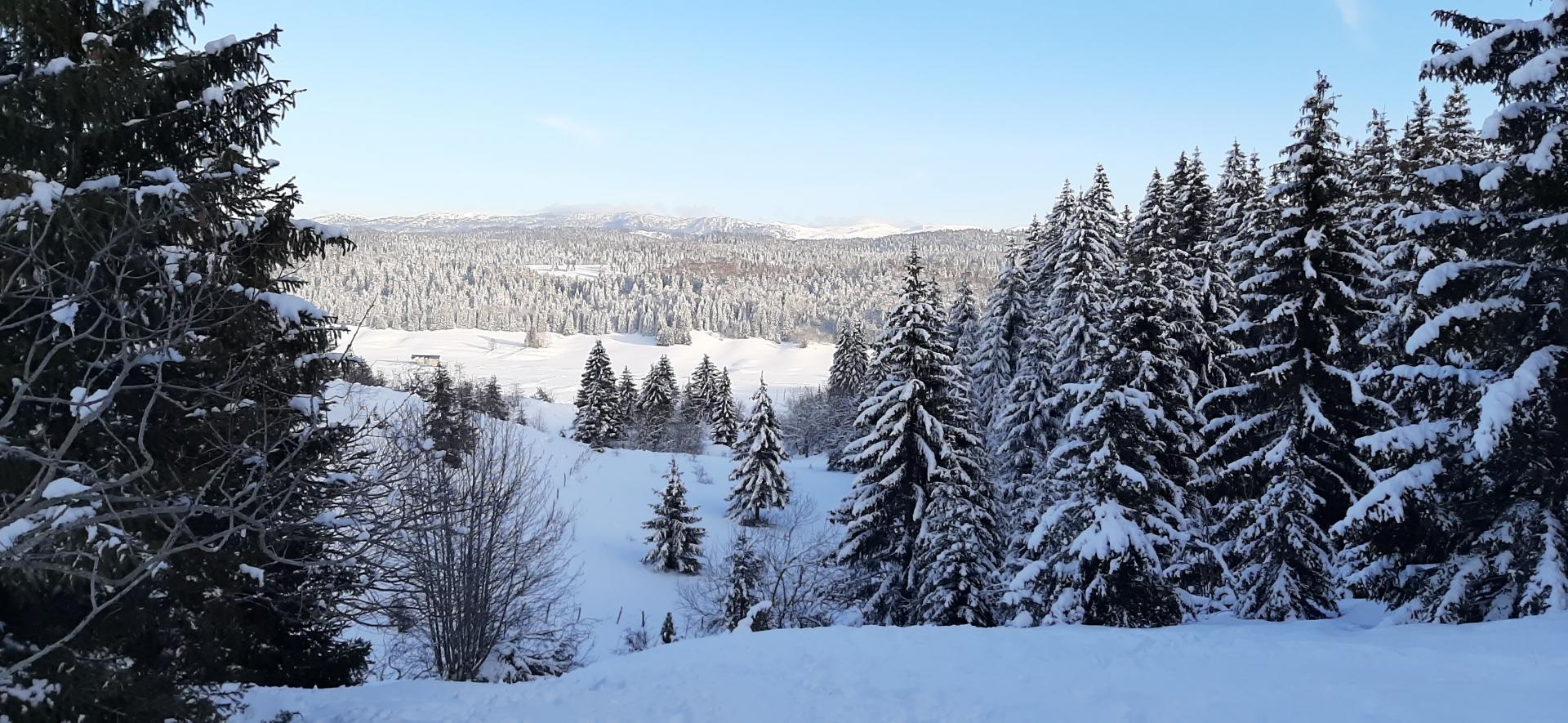 View of Mont Jura