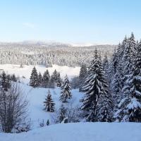 View of Mont Jura